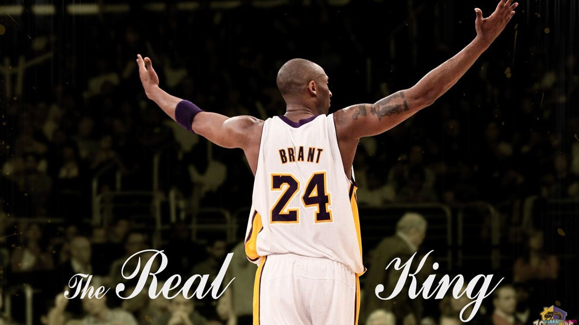 EDG发布职业选手心理健康支持指南，lol职业选手心态